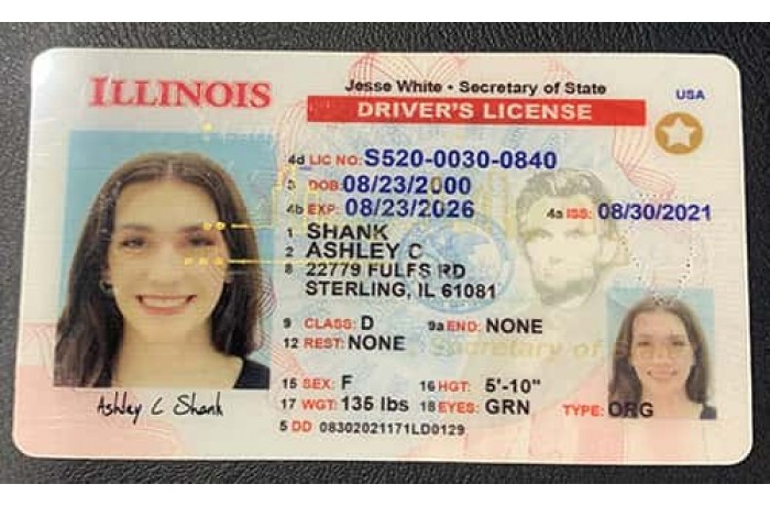 Illinois Fake ID