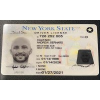 New York Fake ID