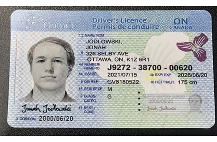 Ontario Fake ID