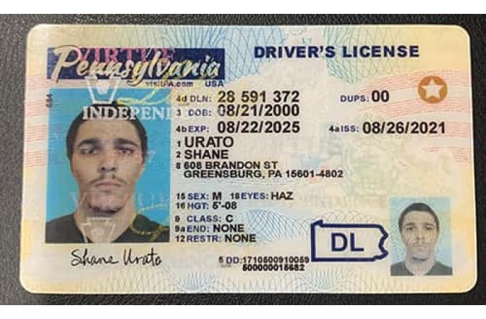 Pennsylvania Fake ID