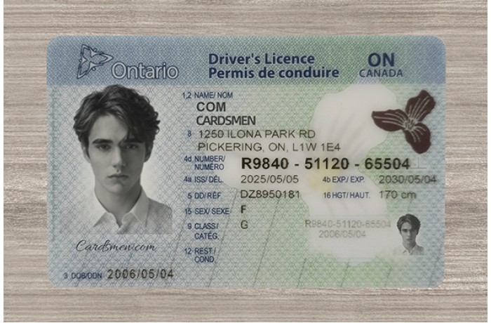 Ontario Fake ID (2025 Version)