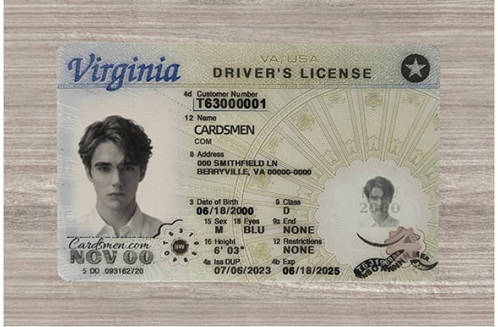 Virginia Fake ID (2025 Version)