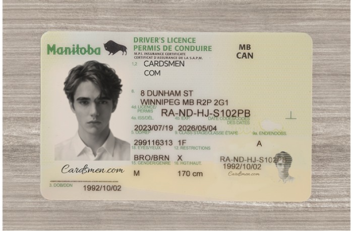 Manitoba Fake ID (2026 Version)