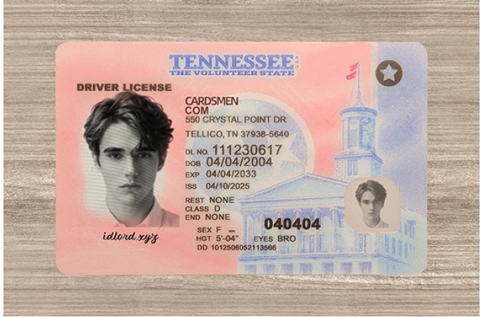 Tennessee Fake ID (2025 Version)