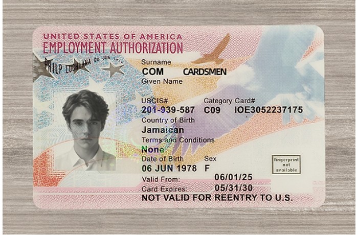 Employment Authorization Card
