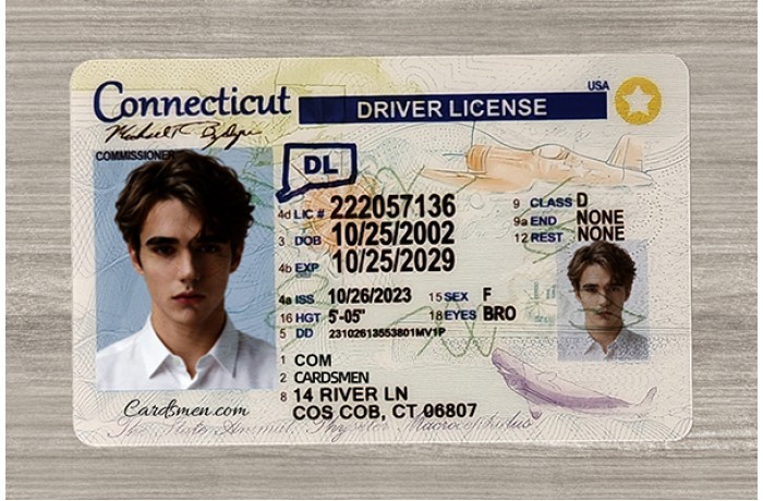 Connecticut Fake ID