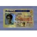 Delaware Fake ID