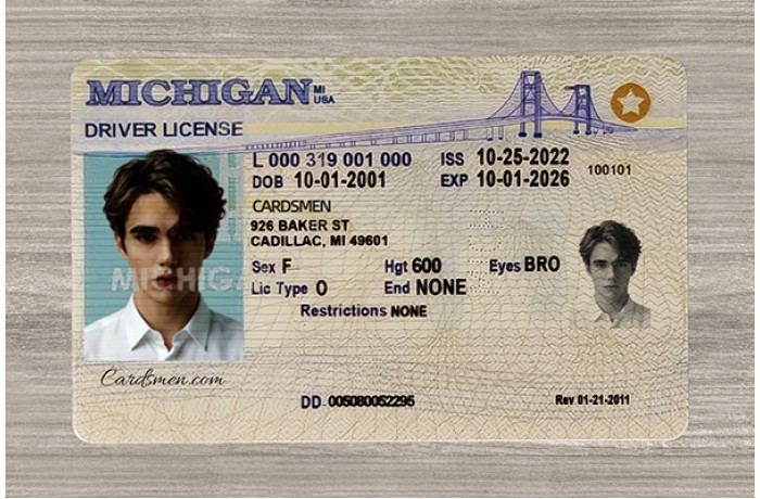 Michigan Fake ID
