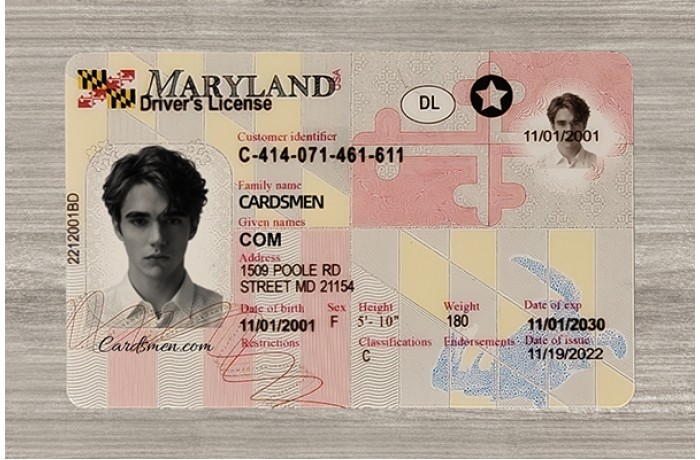 Maryland Fake ID