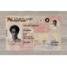 Maryland Fake ID