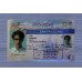 Nevada Fake ID
