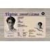 Virginia Fake ID