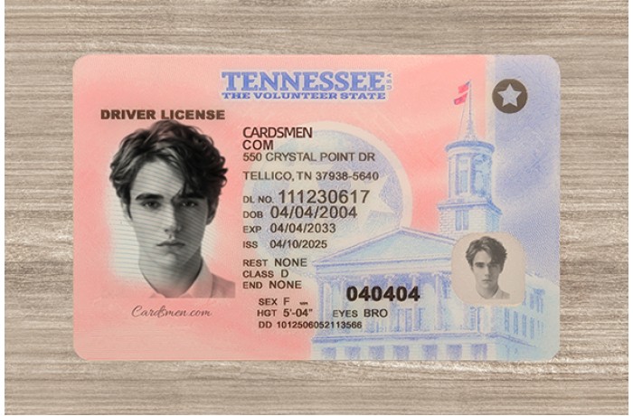 Tennessee Fake ID (2025 Version)